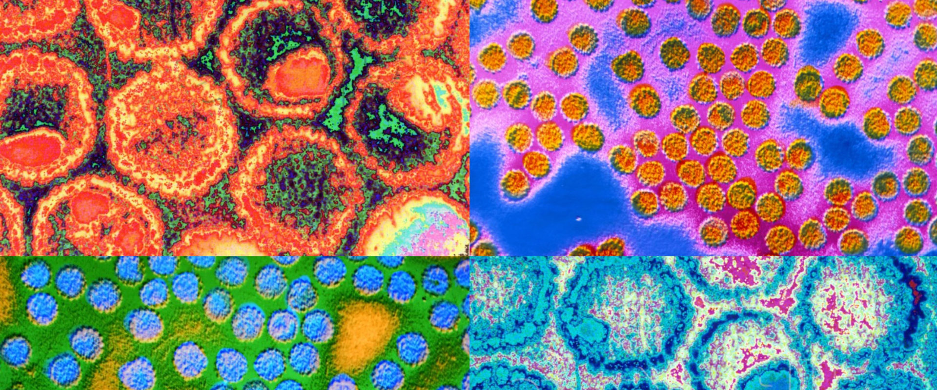 The Truth About STD Transmission: An Expert's Perspective