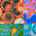 The Truth About STD Transmission: An Expert's Perspective