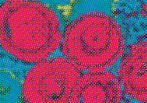 The Truth About STDs: What You Need to Know